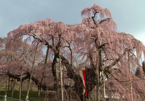 IMG_7663R.jpg