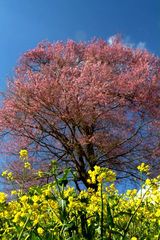 IMG_7741R1624.jpg