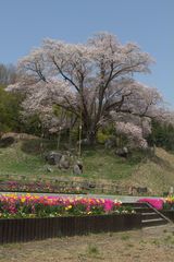 IMG_8933_R1624.jpg